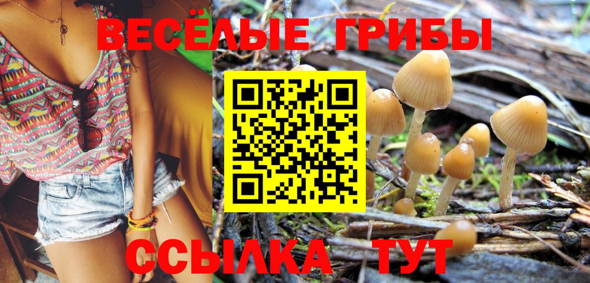 Саратов  Галлюциногенные грибы MAGIC MUSHROOMS  Псилоцибиновые грибы Psilocybine cubensis  Вход с VPN 