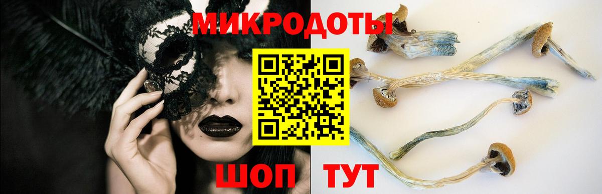 Галлюциногенные грибы GOLDEN TEACHER Саратов